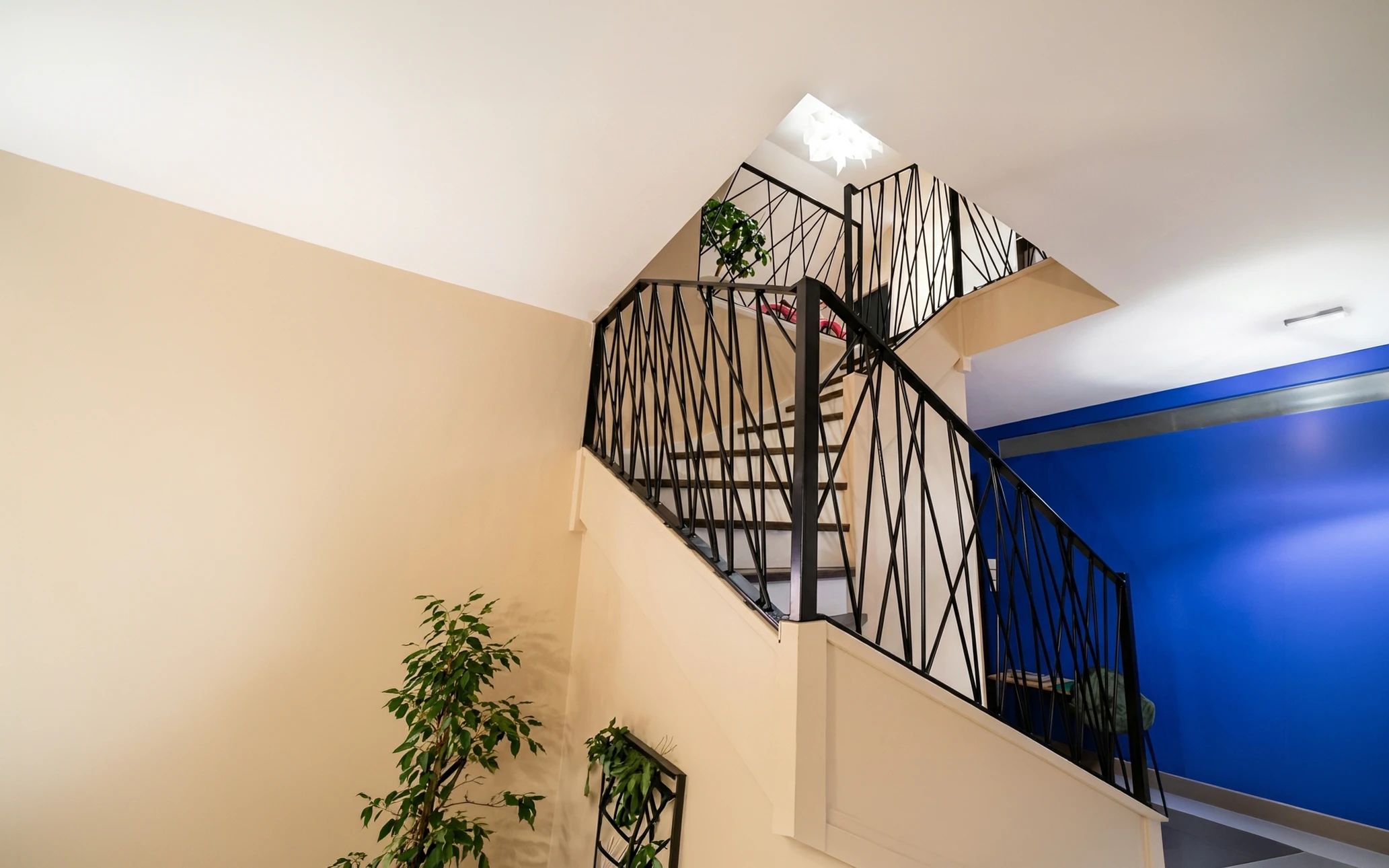 Portail extérieur en fer forgé noir avec motifs décoratifs en spirales et volutes, intégré dans une haie de conifères taillée